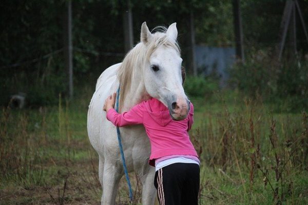 Horse 958320 640