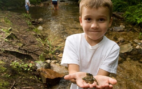 Jongen kikker web 600x376