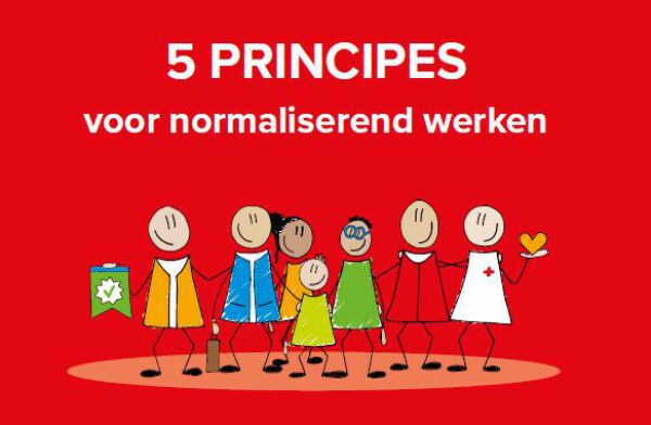 Vijf principes